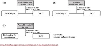 Moderation of parental socioeconomic status on the relationship between birth health and developmental coordination disorder at early years